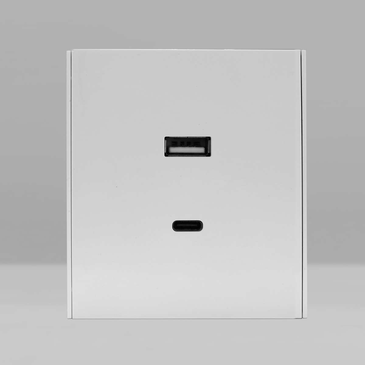 USB A+C Socket