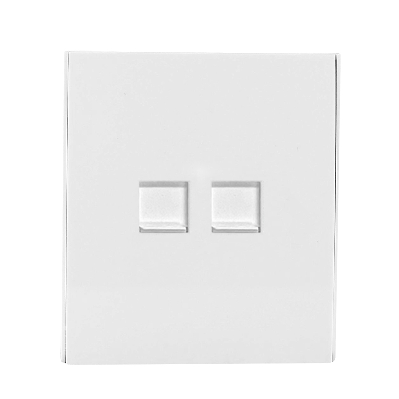 Dual  Data socket