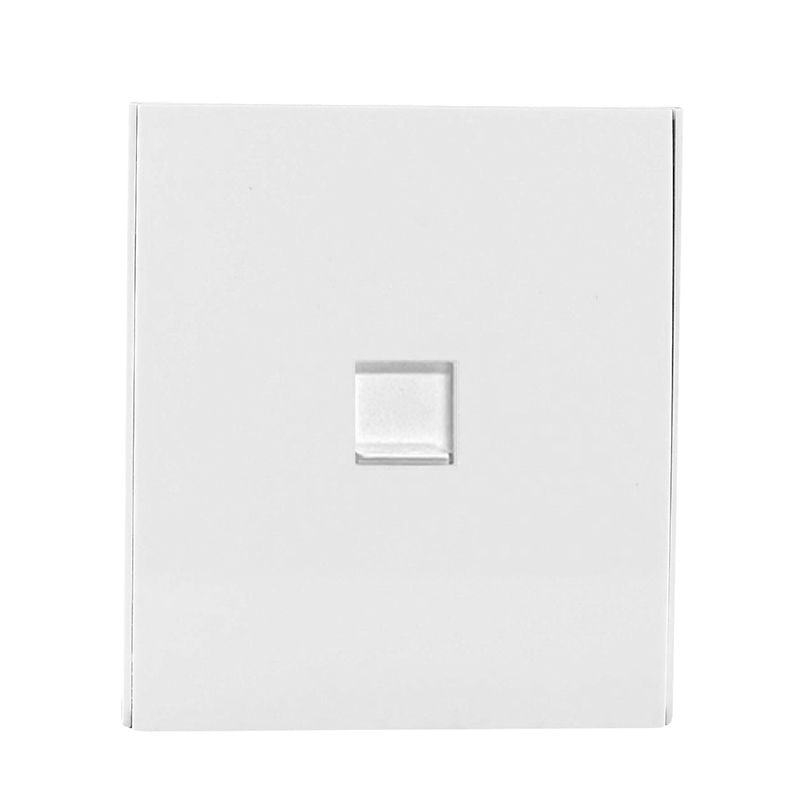 1 gang Data socket