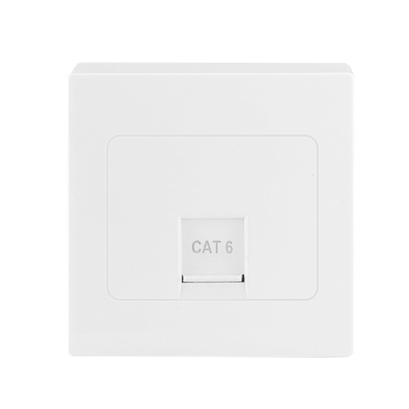 1gang Data socket